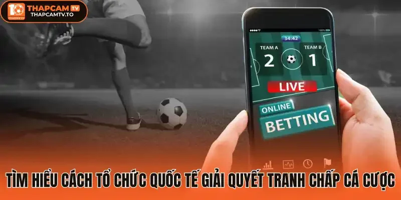 Tìm hiểu cách tổ chức quốc tế giải quyết tranh chấp cá cược