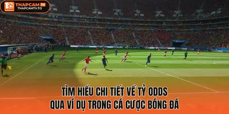 Tìm hiểu chi tiết về tỷ odds qua ví dụ trong cá cược bóng đá