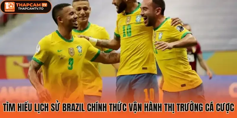 Tìm hiểu lịch sử Brazil chính thức vận hành thị trường cá cược