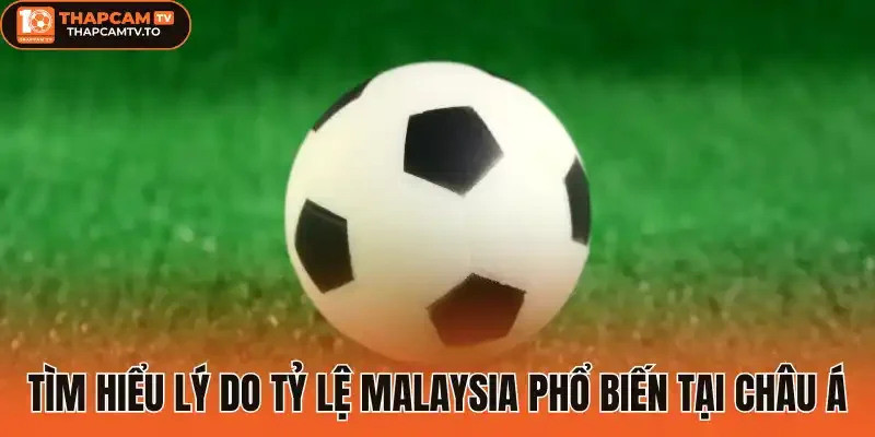 Tìm hiểu lý do tỷ lệ Malaysia phổ biến tại Châu Á