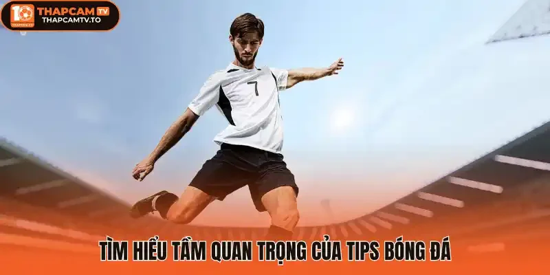 Tìm hiểu tầm quan trọng của tips bóng đá