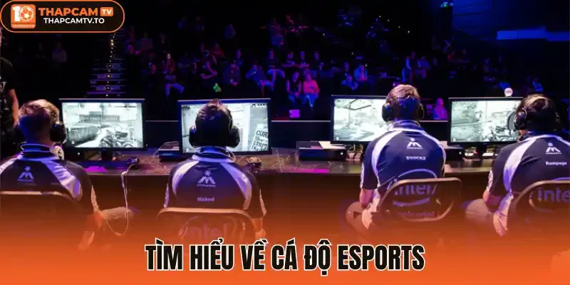 Tìm hiểu về cá độ Esports