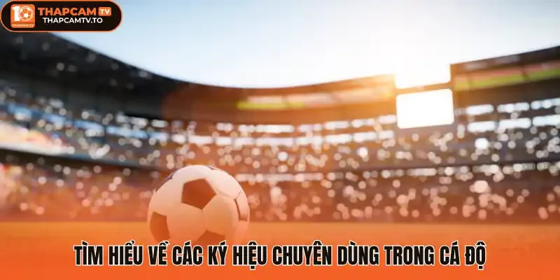 Tìm hiểu về các ký hiệu chuyên dùng trong cá độ