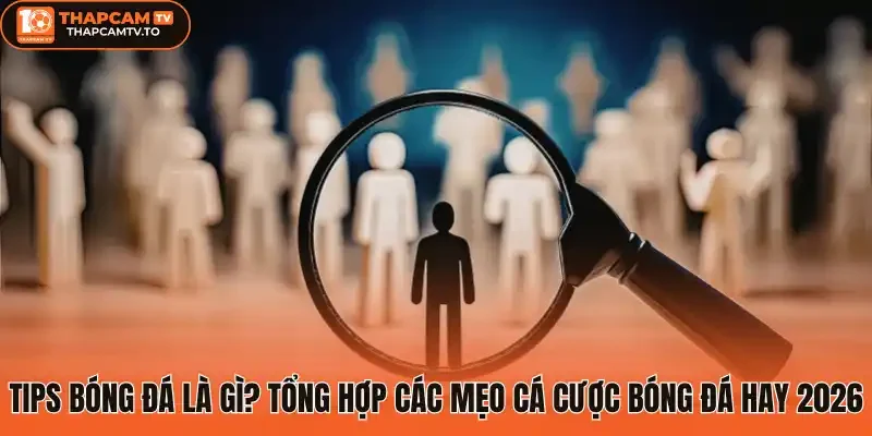Tips bóng đá là gì? Tổng hợp các mẹo cá cược bóng đá hay 2026