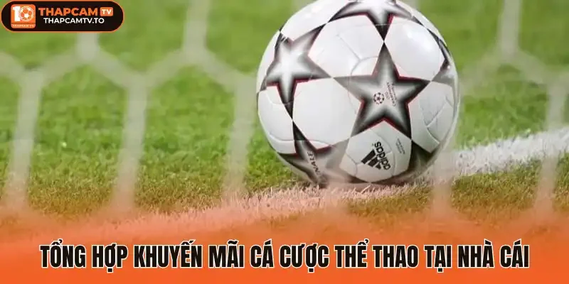 Tổng hợp khuyến mãi cá cược thể thao tại nhà cái