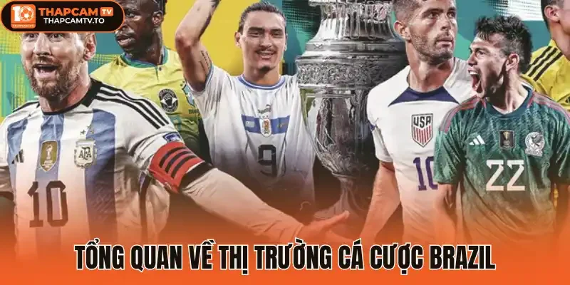 Tổng quan về thị trường cá cược Brazil