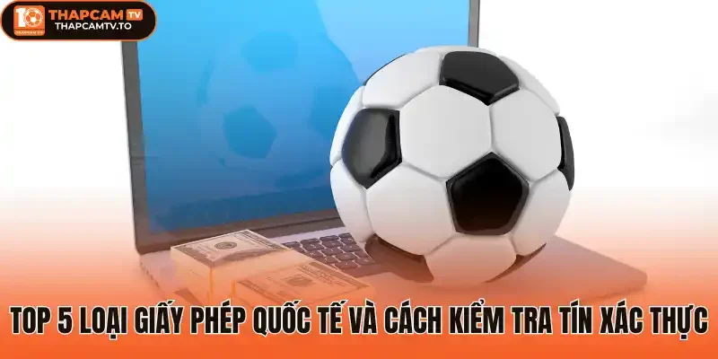 Top 5 loại giấy phép quốc tế và cách kiểm tra tín xác thực