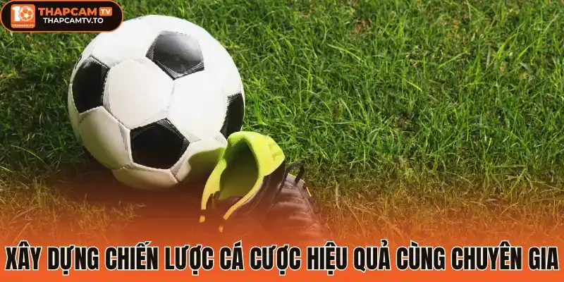 Xây dựng chiến lược cá cược hiệu quả cùng chuyên gia