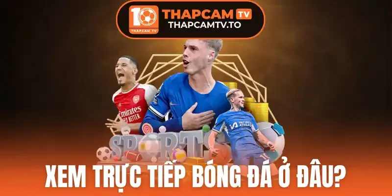 Xem trực tiếp bóng đá ở đâu - 5 Tiêu chí chọn địa chỉ xem bóng đá uy tín