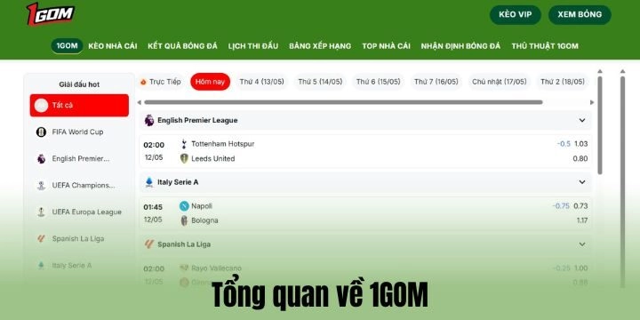 Giới thiệu về 1Gom