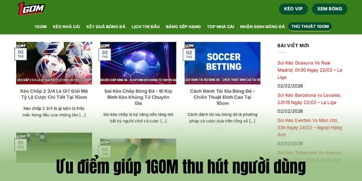 Giới thiệu về 1Gom