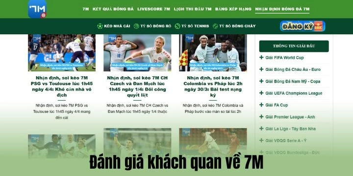 Đánh giá chân thực về 7M