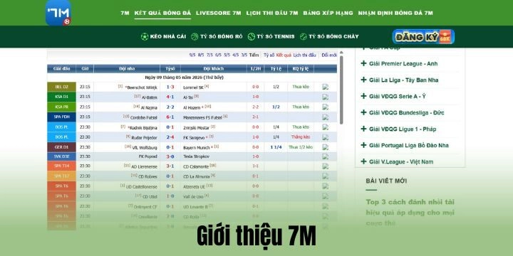 Vài nét về 7M
