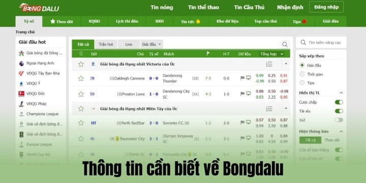 Bongdalu là gì?