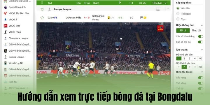 Hướng dẫn xem trực tiếp bóng đá tại Bongdalu