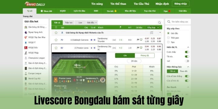 Trải nghiệm xem trực tiếp bóng đá đỉnh cao tại Bongdalu