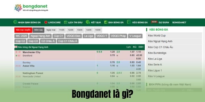 Vài điều nên biết về Bongdanet