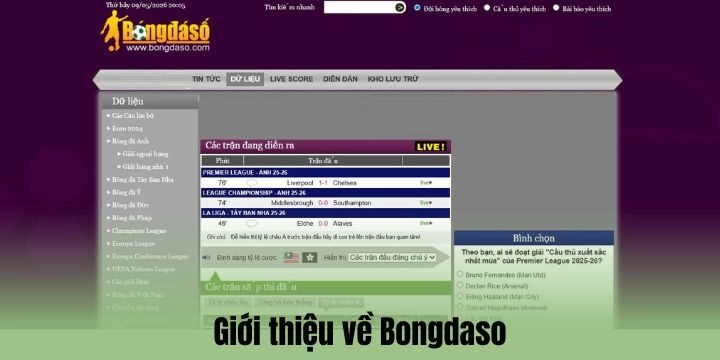 Tổng quan về Bongdaso