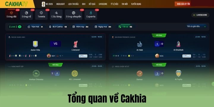 Tổng quan về Cakhia năm 2026