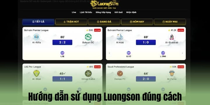 Hướng dẫn sử dụng Luongson cho người mới