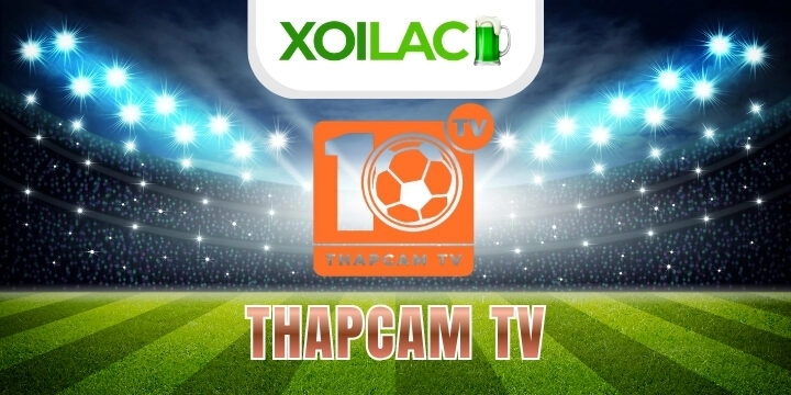 Thapcam - Trang soi kèo nhà cái & trực tiếp bóng đá uy tín